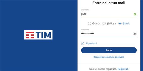 accedi a tin it.